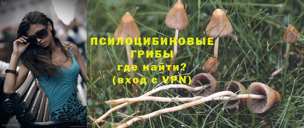 гашик Чегем