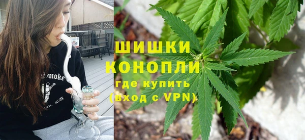 гидра Костерёво