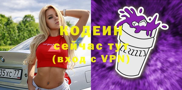 гашик Чегем