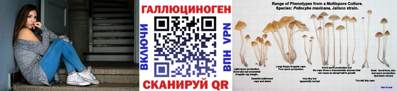 Купить  Верхотурье  Псилоцибиновые грибы прущие грибы 